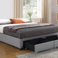 True Contemporary Bed EZ Base Foundation Grey Platform Bed with 2 Storage Drawers - Available in 4 Sizes
